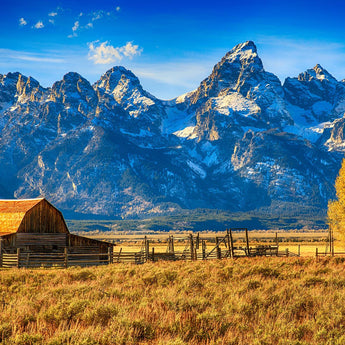 Tempered Glass With Foil - Mountainous Barn - Blue