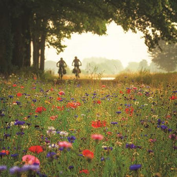 Bike Ride Among The Wildflowers By Martin Podt Photography (Framed) - Green