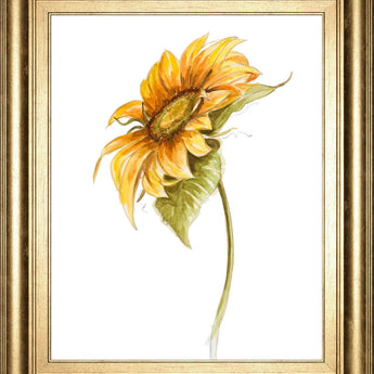 22x26 Harvest Gold Sunflower I By PatriciaPinto - Yellow