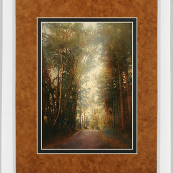 Road Of Mysteries Il By Amy Melious - Mirror Framed Print Wall Art - Light Brown