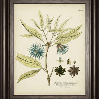 22x26 Eloquent Botanical III By Vision Studio - Beige