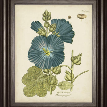 22x26 Eloquent Botanical IV By Vision Studio - Blue