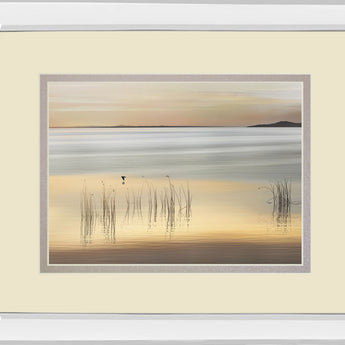 Golden By Marvin Pelkey - Mirror Framed Print Wall Art - Beige