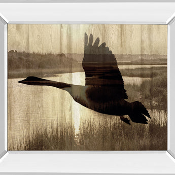 Journey By Tania Bello - Mirror Framed Goose Photo Print Wall Art - Light Brown