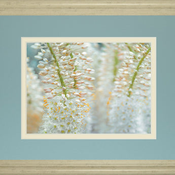 Humbled By Frank Assaf - Framed Print Wall Art - Light Blue