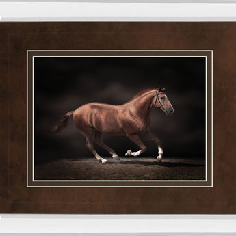 Stallion On Black By Edoma Photo - Mirror Framed Print Wall Art - Dark Brown