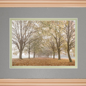 Autumn's Peace By Frank A - Framed Print Wall Art - Dark Gray
