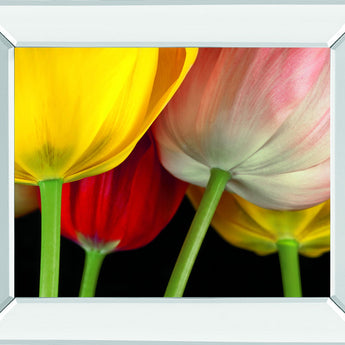 Sunshine Tulips By Frank, A. - Mirror Framed Print Wall Art - Yellow
