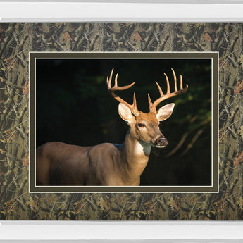 White Tail Buck By Tony Campbell Double Matted - Mirror Framed Print Wall Art - Black