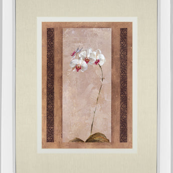 Contemporary Orchid Il By Carney - Mirror Framed Print Wall Art - Pink