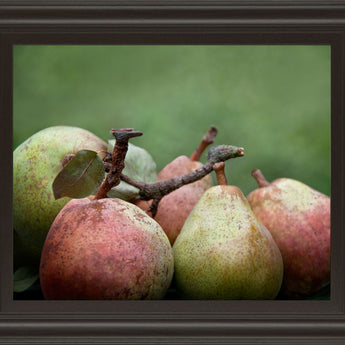 Comice Pear Il By Rachel Perry - Framed Print Wall Art - Green