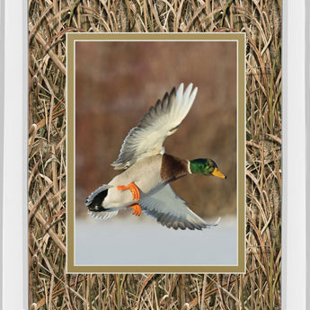 Flying Mallard By Steve Oehlenschlager Mirror Framed Mossy Oak Native Living Print - Light Brown