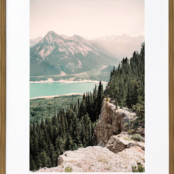 Pinebound Light I - 24 X 32 - Framed Print Under Glass - Green
