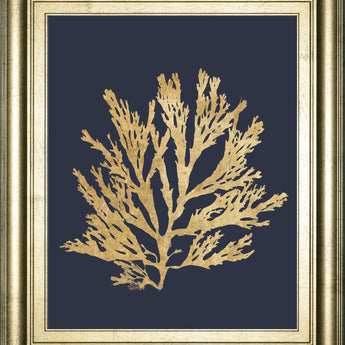 Pacific Sea Mosses I Indigo By Wild Apple Portfolio - Framed Print Wall Art - Dark Gray