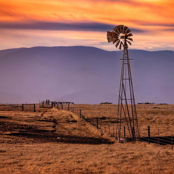 Tempered Glass - Windmill On The Prairie - Light Brown