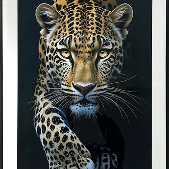 Midnight Stalker I Gloss Canvas With Rocks In Frame - Black / White