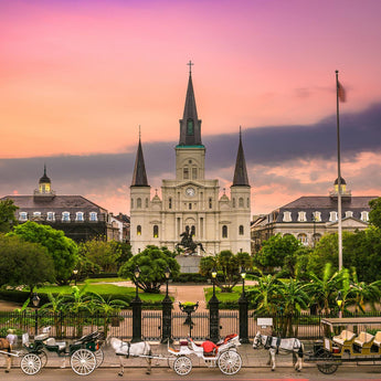 Tempered Glass With Foil - Jackson Square - Pink