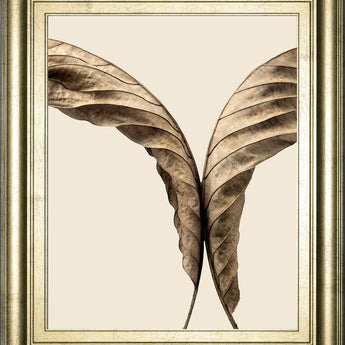 Turning Leaves Il By Jeff Friesen - Framed Print Wall Art - Dark Brown
