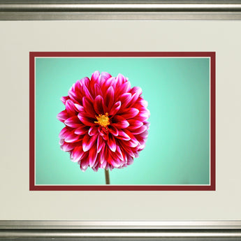 Zenia By Gail Peck - Framed Print Wall Art - Pink