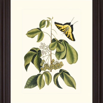 Butterfly Grove - 28" x 34" Framed Wall Art - Green