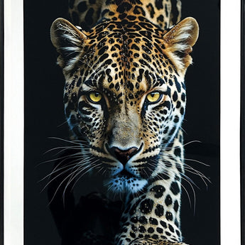 Midnight Stalker II Gloss Canvas With Rocks In Frame - Black / White