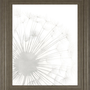 22x26 Dandelion Whisper I By Grace Popp - Pearl Silver