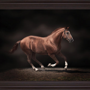 Chestnut Grace - 28" x 34" Framed Wall Art - Dark Brown