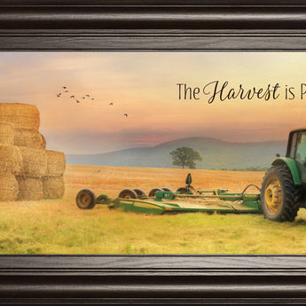 The Harvest Is Plentiful By Lori Deiter - Framed Print Wall Art - Gold
