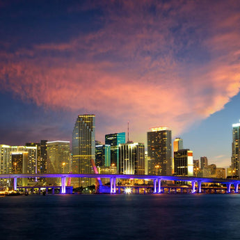Temp Glass With Foil - Miami Skyline - Blue