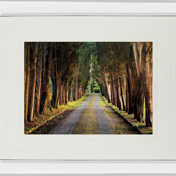 Tree Tunnel By Michael Tunnel And Mossy Oak Native Living - Mirror Framed Print Wall Art - Green