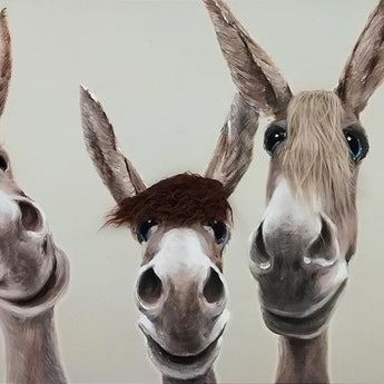 Whimsical Brows - 20" x 60" Framed Wall Art - Dark Brown