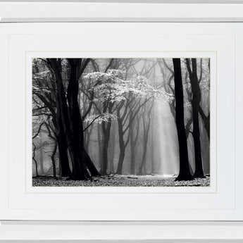 Winter Is Coming By Lars Van De Goor - Mirror Framed Print Wall Art - Black