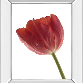 Red Tulip By Art Photo Pro - Mirror Framed Print Wall Art - Red