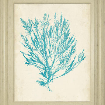 22x26 Aquamarine Seaweed IV By Vision Studio - Light Blue