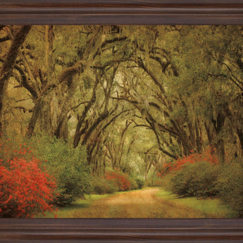 Mossy Woodland Trail - 28" x 34" Framed Wall Art - Green