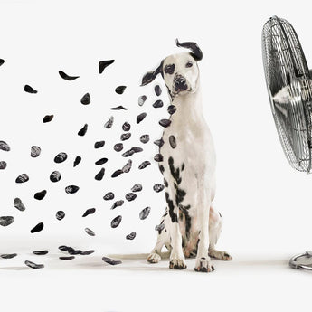 Tempered Glass With Foil - Dalmation - Gray