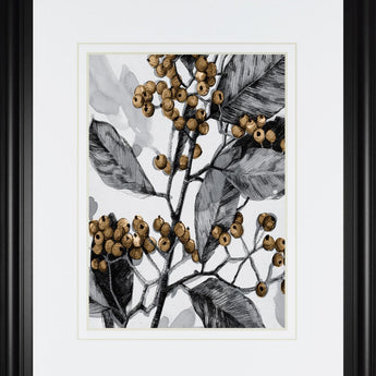 34x40 Holly Shadow I By Emma Caroline - Dark Gray