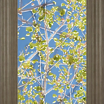 Spring Poplars I By Sharon Chandler - Framed Print Wall Art - Light Blue