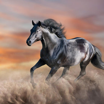 Tempered Glass With Foil - Running Horse - Light Brown