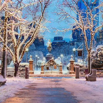 Tempered Glass With Foil - Boston In Winter - Light Blue
