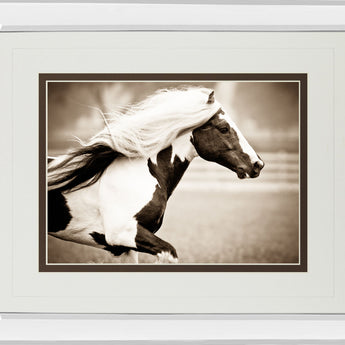 Gypsies Pride By Carol Walker - Mirror Framed Print Wall Art - Light Brown