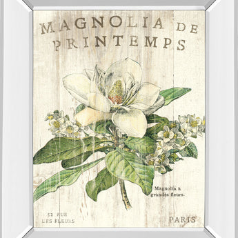 Magnolia De Printemps By Sue Schlabach - Mirror Framed Print Wall Art - Beige