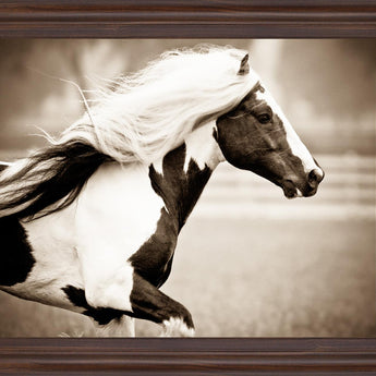 Galloping Spirit - 28" x 34" Framed Wall Art - Dark Brown