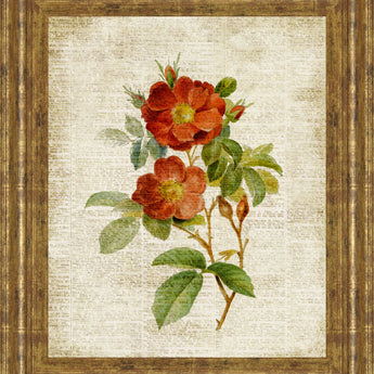 Roses On Newsprint Il By Lanie Loreth - Framed Print Wall Art - Beige