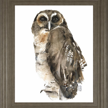 22x26 Watercolor Owl I By Jennifer Paxton Parker - Dark Gray