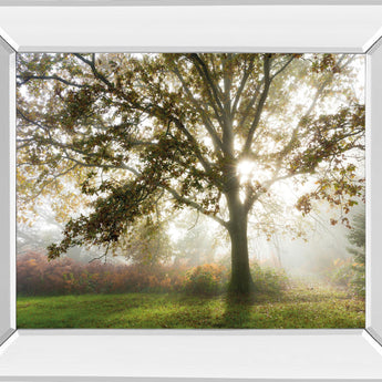 Morning Calm By Lee Frost - Mirror Framed Print Wall Art - Green